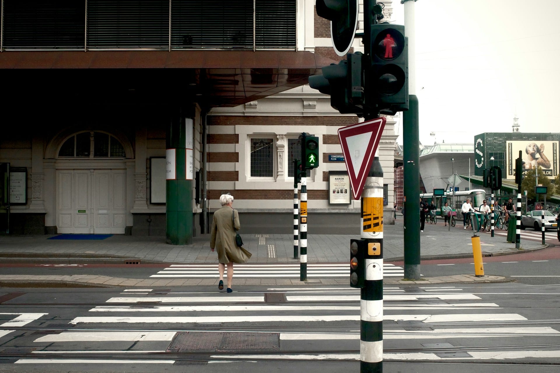Crosswalk Crash